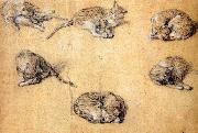 Thomas, Six studies of a cat